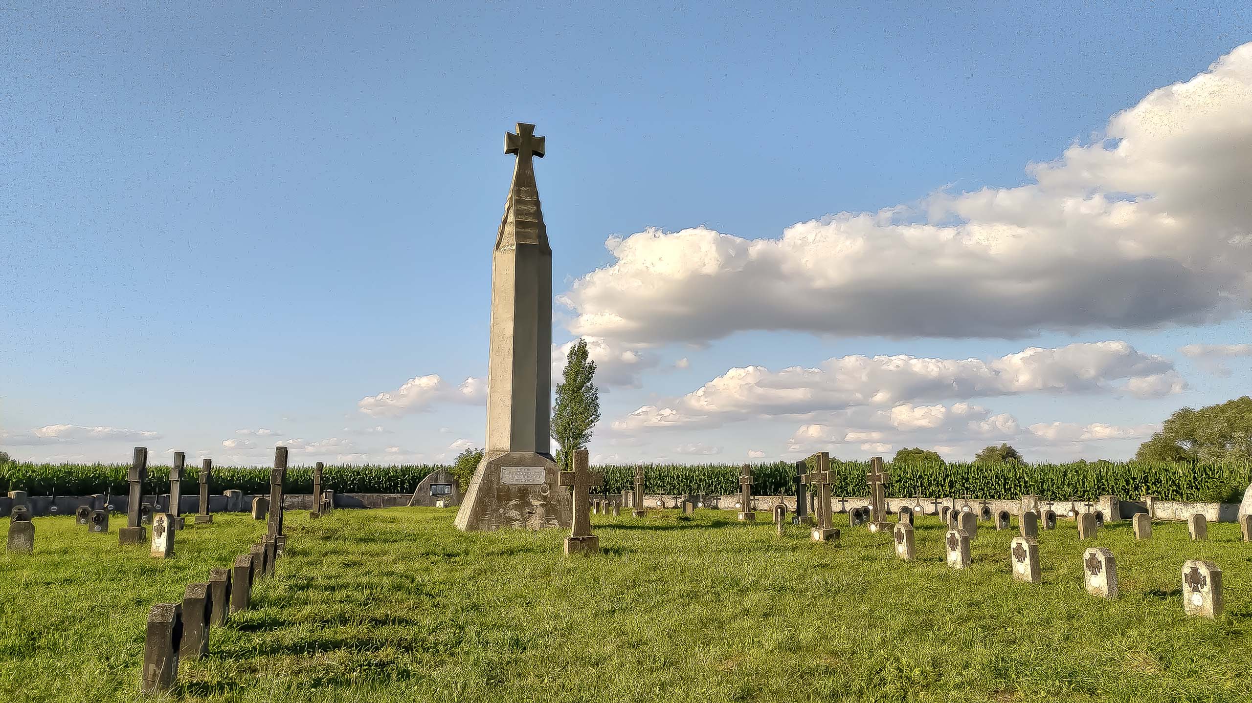 IMG 20200801 181240 kopia